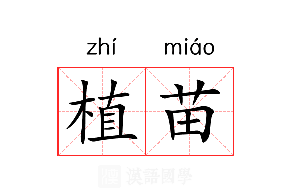 植苗 植苗