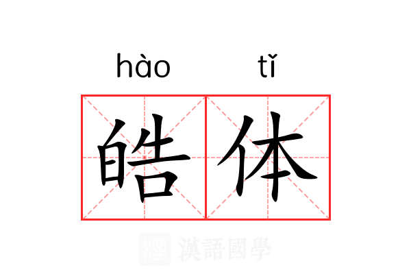 皓体 皓体