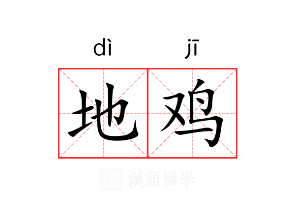 地鸡 地鸡