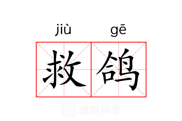 救鸽