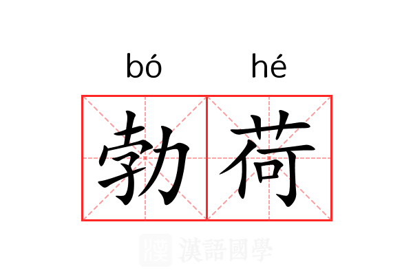 勃荷