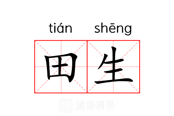 田生 田生
