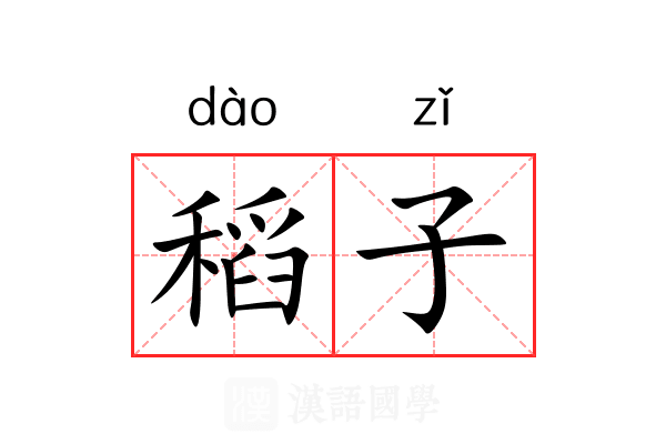 稻子