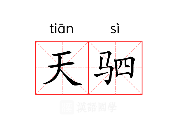 天驷 天驷