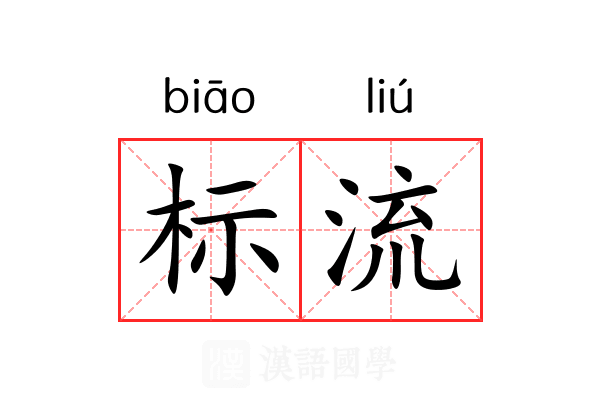 标流 标流