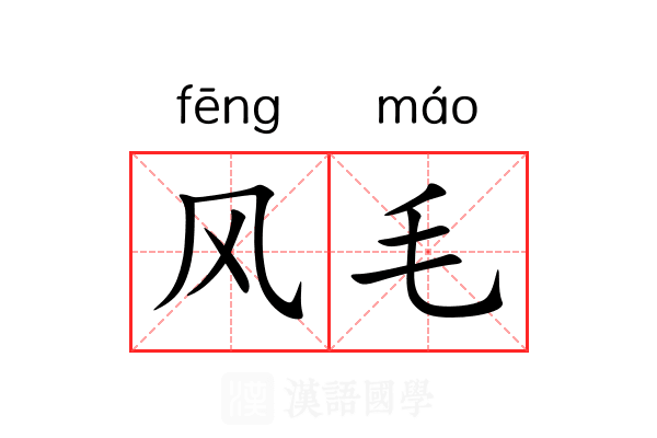 风毛 风毛