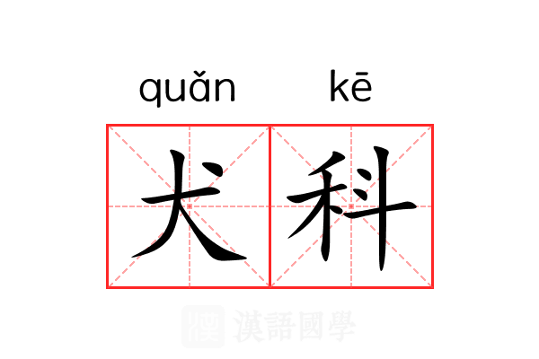 犬科 犬科