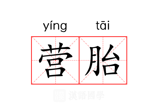 营胎 营胎