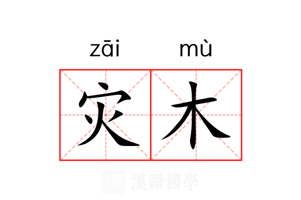 灾木 灾木