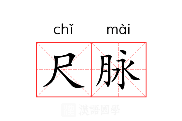 尺脉 尺脉