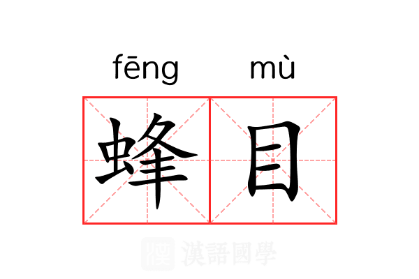 蜂目 蜂目