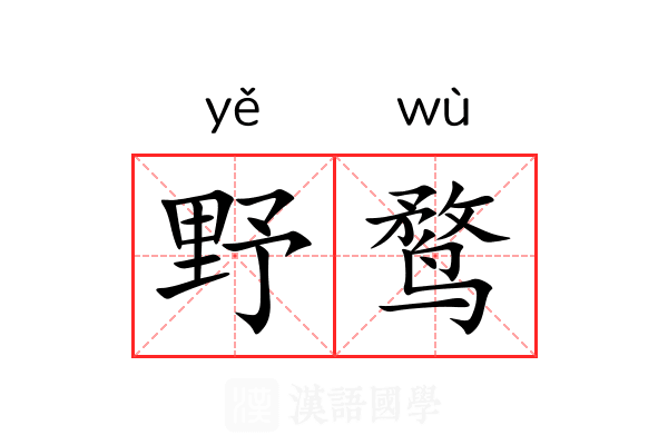 野鹜