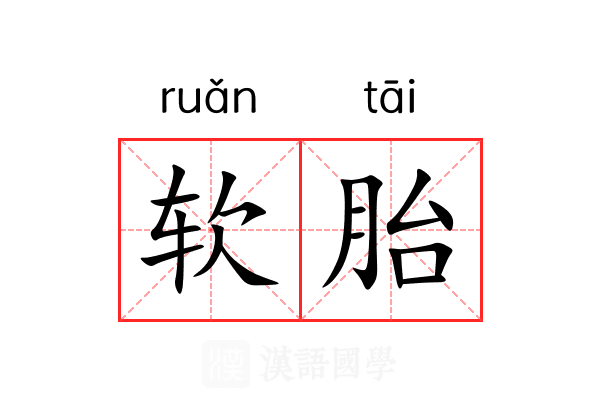 软胎 软胎