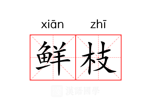 鲜枝 鲜枝