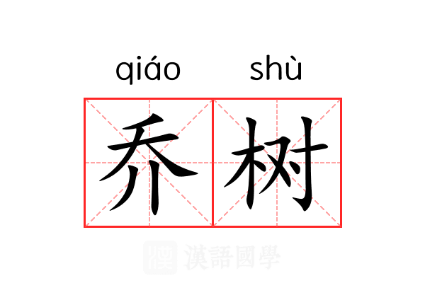乔树