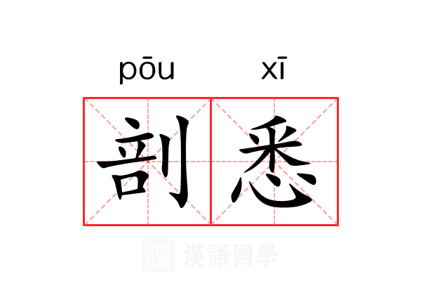 剖悉
