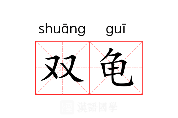 双龟 双龟