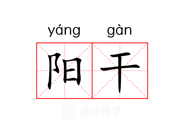 阳干