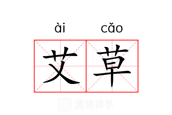 艾草 艾草