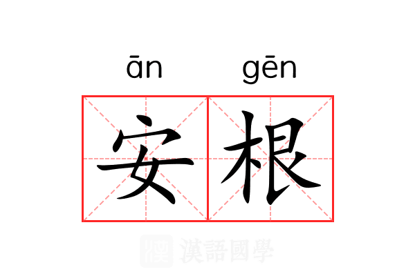 安根 安根
