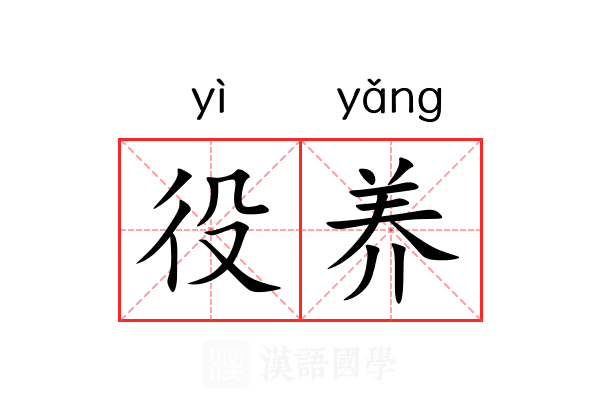 役养 役养