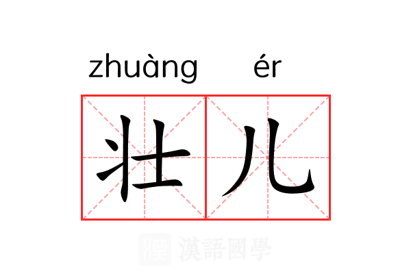 壮儿 壮儿