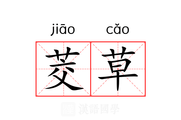 茭草
