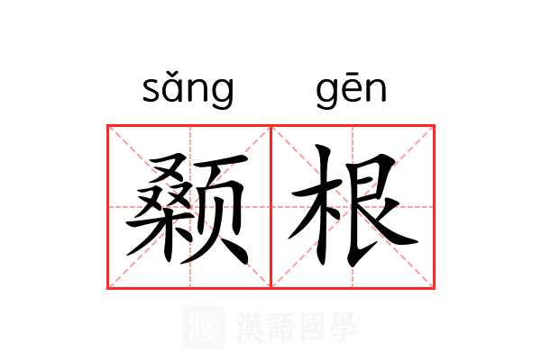 颡根 颡根