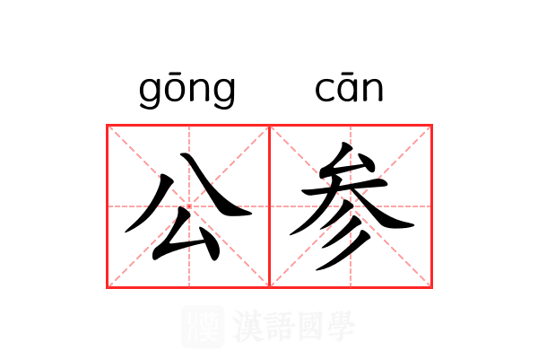 公参 公参
