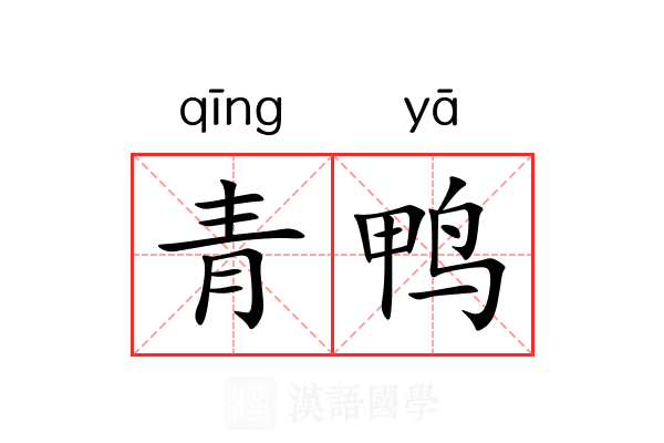 青鸭 青鸭