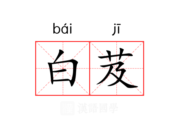 白芨 白芨