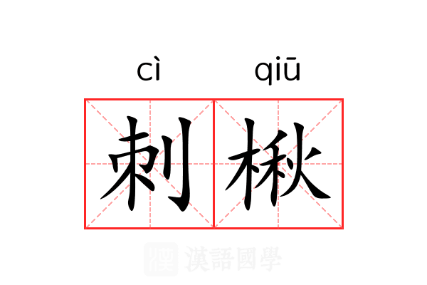刺楸