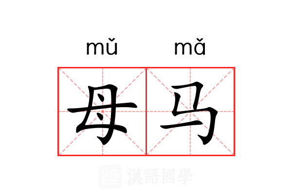 母马