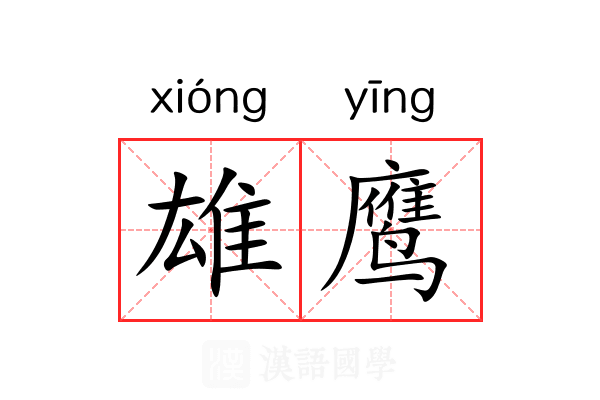 雄鹰