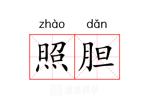 照胆 照胆