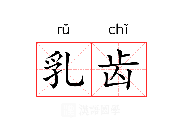 乳齿 乳齿