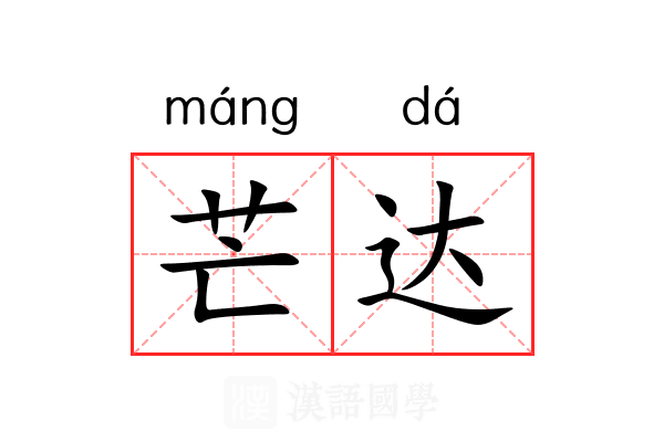 芒达 芒达