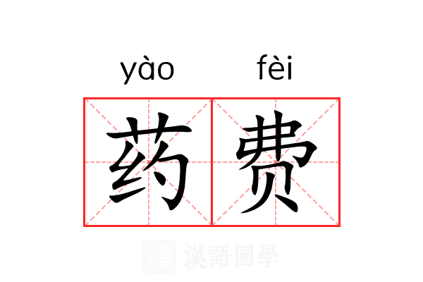药费
