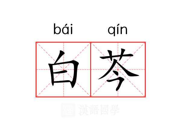 白芩 白芩