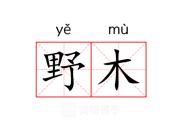 野木 野木