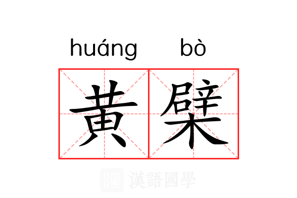 黄檗 黄檗
