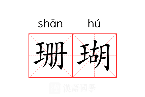 珊瑚 珊瑚