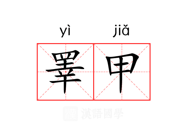 睪甲 睪甲