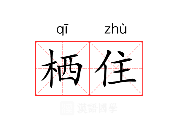 栖住 栖住