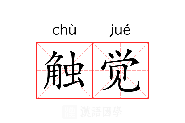 触觉 触觉