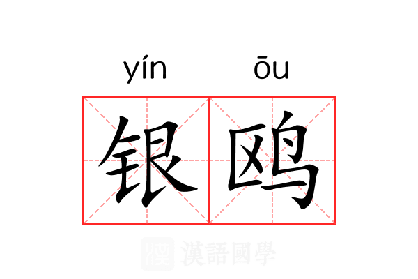 银鸥 银鸥