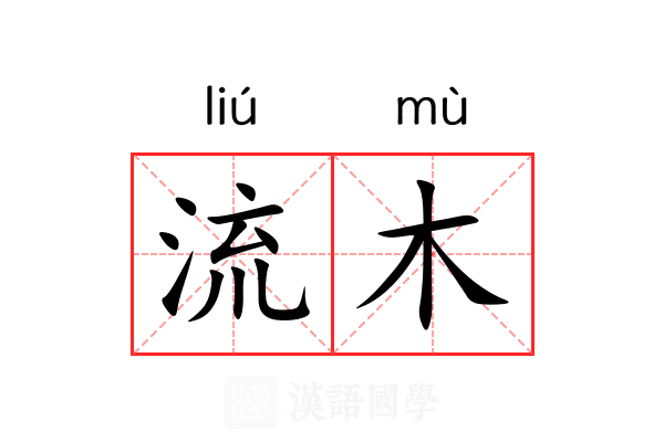 流木 流木