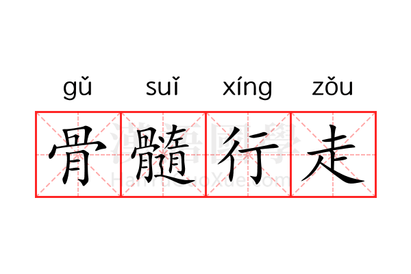 骨髓行走 骨髓行走