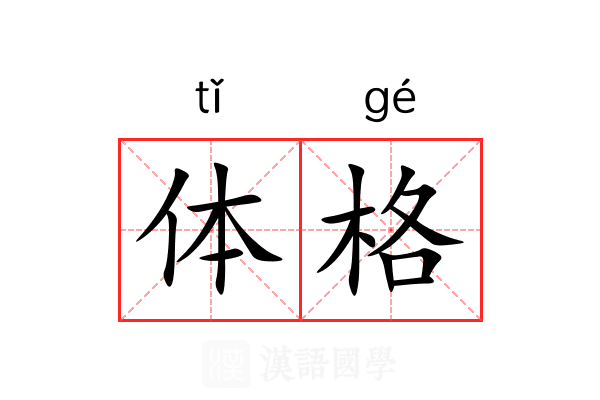 体格