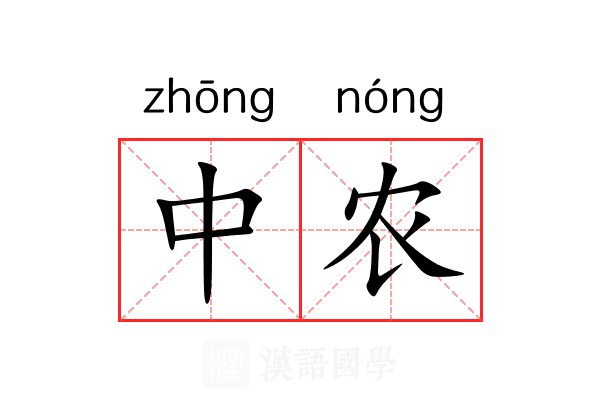 中农 中农